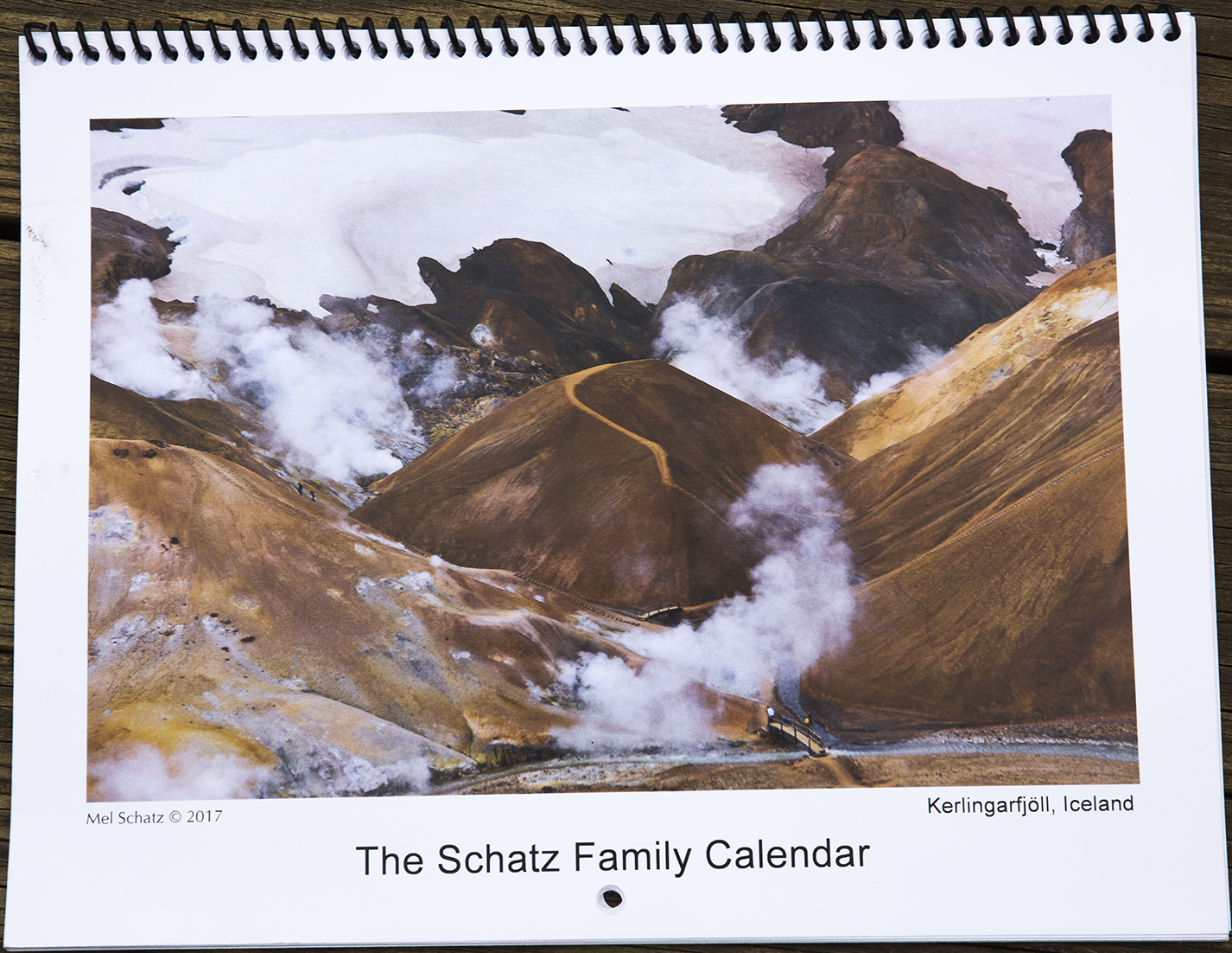 The Schatz Family Calendar