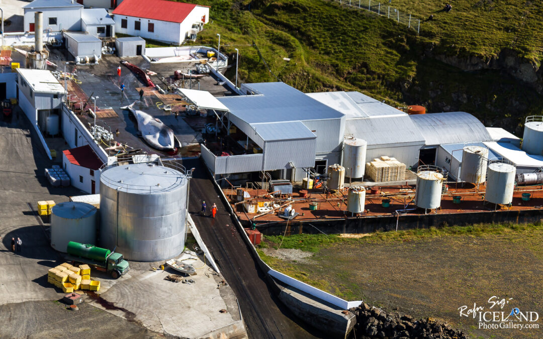 Whale station in Hvalfjörður Iceland