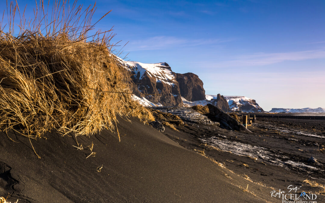 Vík village and the Black Beach │ Iceland Winter Landscape Photo