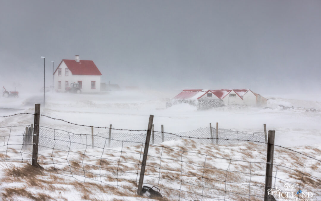 Austurkot 1 Farm at Vatnsleysuströnd │ Iceland Winter Landscape