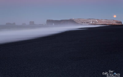 Dyrhólaey - South │ Iceland Landscape Photography