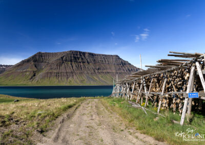 Flateyri village in Önundarfjörður - Westfjords │ Iceland C