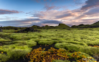 Lakagígar craters and Surroundings │ Iceland Photo Gallery