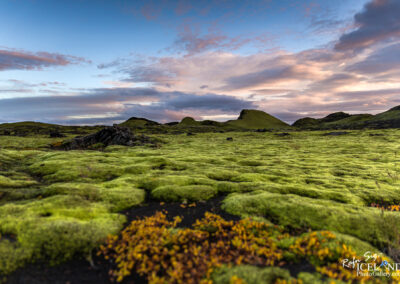 Lakagígar craters and Surroundings │ Iceland Photo Gallery