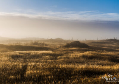 Meadow in the fog - South West │ Iceland Landscape Photography
