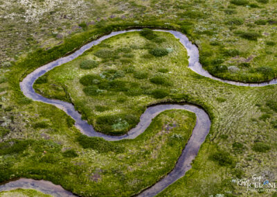 Núpsvötn river Patterns in the grass│ Iceland Landscape from