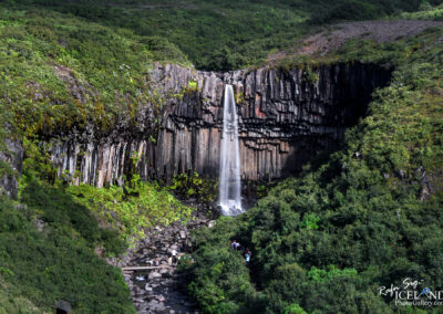 Svartifoss waterfall - South │ Iceland Landscape Photography