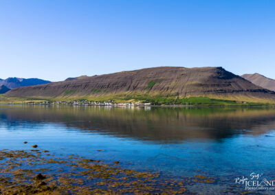 Þingeyri village- Westfjords │ Iceland City Photography