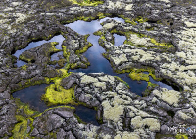 Tjarnarhraun Lava and water Patterns │ Iceland Landscape from