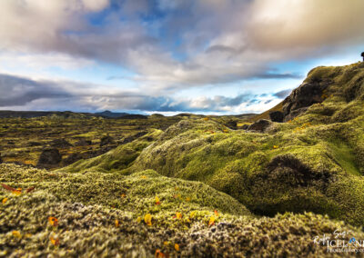 Lakagígar (Craters of Laki) │ Iceland Landscape Photography