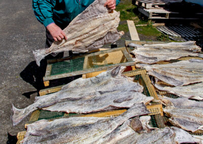 Man salting cod fish │ Iceland City Photography