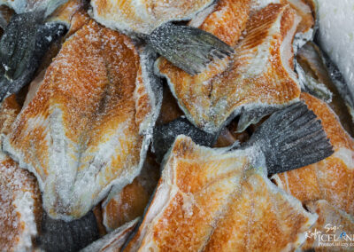 Salted cod fish │ Iceland City Photography