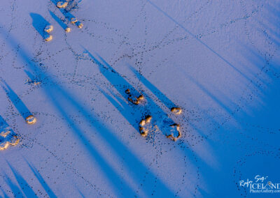 Long shadows – Hard Winters │ Iceland Photo Gallery