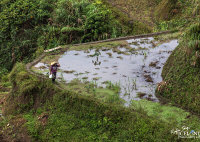Banaue Rice Terraces - Philippine