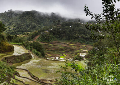 Banaue Rice Terraces - Philippine