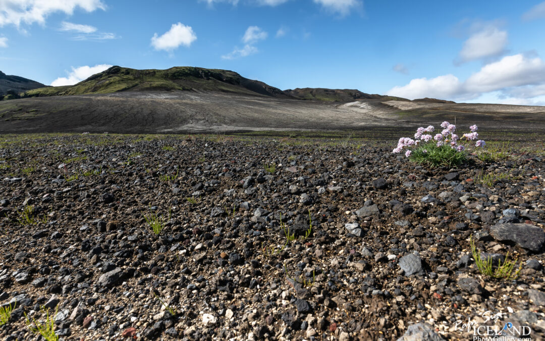 Sauðafell Mountain – Iceland Photo Gallery