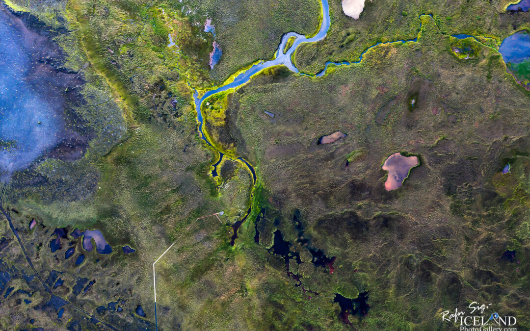 Wetlands (Votlendi) – Iceland Photo Gallery