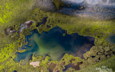 Wetlands (Votlendi) of Iceland │ Iceland Photo Gallery