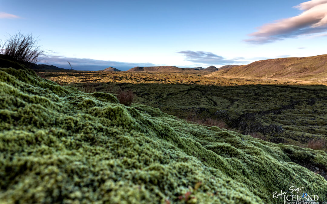 Driffellshraun Lava – Iceland Photo Gallery