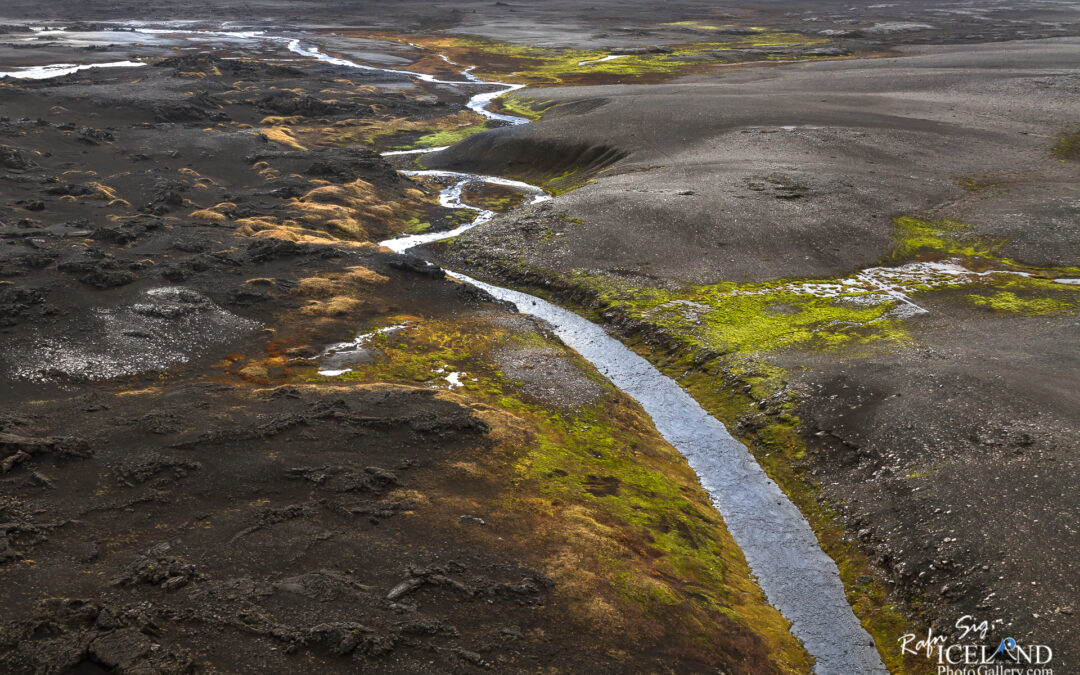 Wetlands (Votlendi) – Iceland Photo Gallery