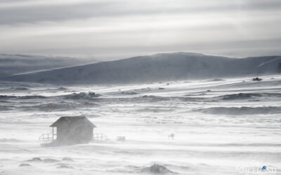 Cabin in the highlands of Iceland in a winter snow storm