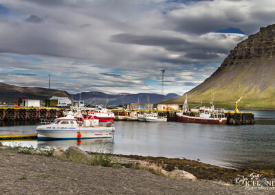 Bílduddalur village - Westfjords │ Iceland City Photography