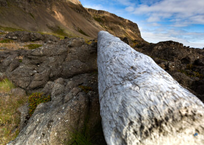 Driftwood along the coast │ Iceland Landscape Photography