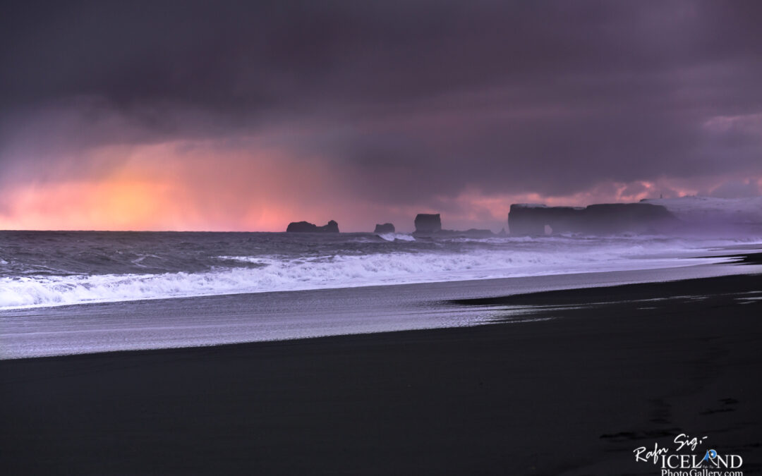 Dyrhólaey Cliff’s │ Iceland Photo Gallery
