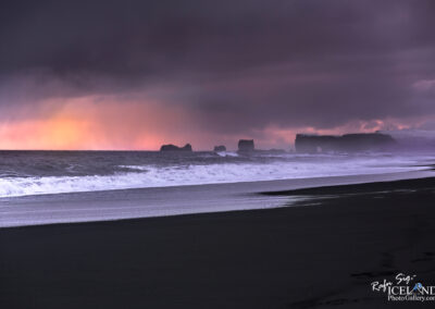 Dyrhólaey Cliffs - South │ Iceland Landscape Photography