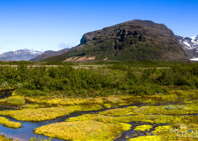 Fálkaþúfa Mountain - South │ Iceland Landscape Photography