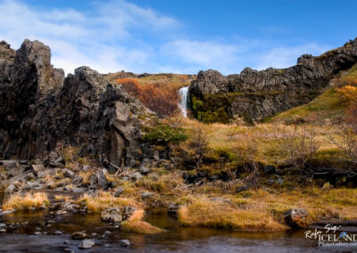 Gjáin Oasis - South │ Iceland Landscape Photography