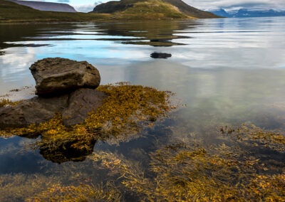 Hestfjjörður bay and Hestur mountain │ Iceland Landscape photography