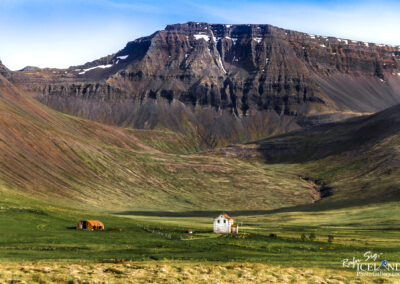 Driving along Skútabjörg │ Iceland Landscape Photography