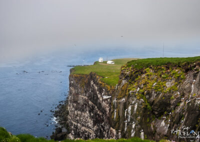 Látrabjarg cliffs - Westfjords │ Iceland Landscape Photography