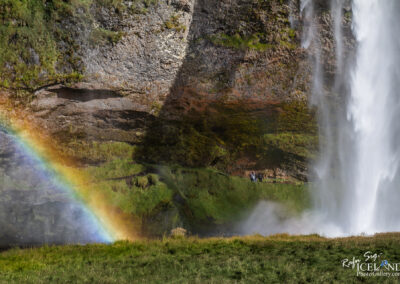 Seljalandsfoss waterfall │ Iceland Landscape Photography