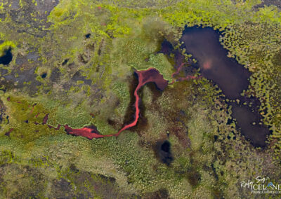 Wetlands (Votlendi) of Iceland │ Iceland Photo Gallery