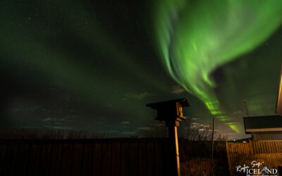 Northern Lights - Norðurljós │ Iceland Photo Gallery