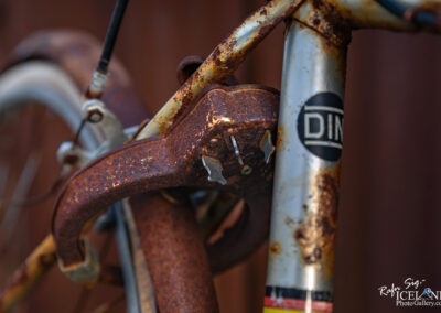 The CEDO bicycle lock │ Iceland Photo Gallery