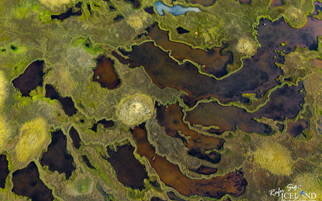 Lauffellsmýrar Wetlands