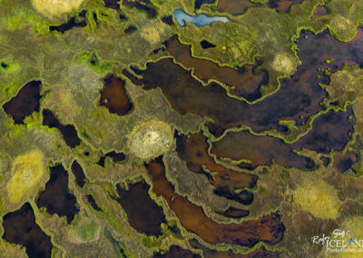 Lauffellsmýrar Wetlands │ Iceland Photo Gallery