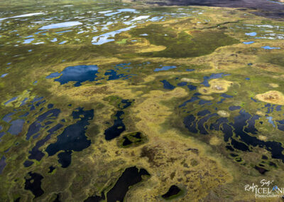 Lauffellsmýrar Wetlands │ Iceland Photo Gallery