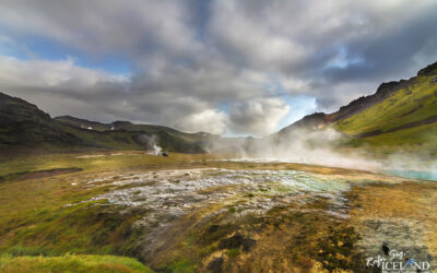 Fumarole at Hengill Volcano │ Iceland Photo Gallery