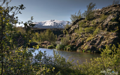 Trees with Lake and Hekla Glacier Volcano in the background