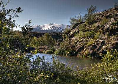 Trees with Lake and Hekla Glacier Volcano in the background