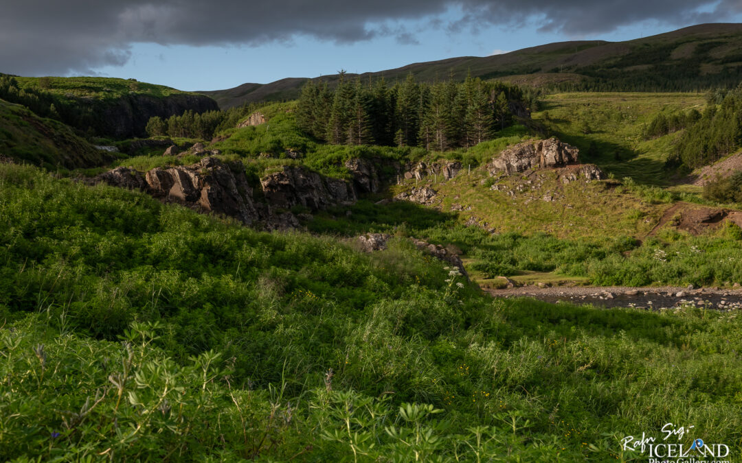 Fossá │ Iceland Photo Gallery