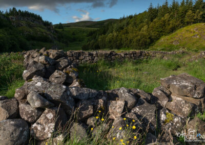 Old sheep round up made out of stones, seen from air in summertime with lot of green gras all around..