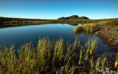 Lake at Krísuvík with straws in the foreground and nice Mountain in the background with blue sky