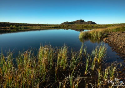 Lake at Krísuvík with straws in the foreground and nice Mountain in the background with blue sky