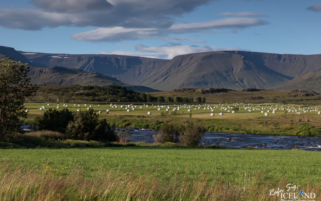 Laxá í Kjós │ Iceland Photo Gallery