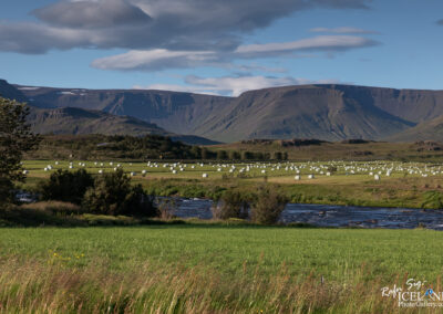 River Laxá í Kjós in a summertime with green grass on both sides and farmer getting his hey ready for the winter.